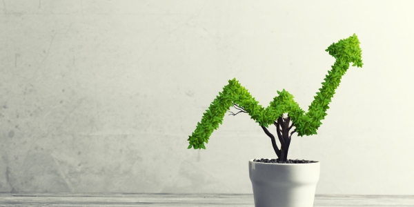 Small,Plant,In,Pot,Shaped,Like,Growing,Graph Small,Plant,In,Pot,Shaped,Like,Growing,Graph